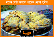 ঘরেই তৈরি করুন নোনা ইলিশ
